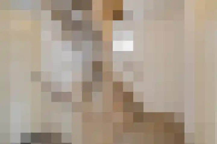 Vormerijstraat 21 Gaanderen thumbnail 36