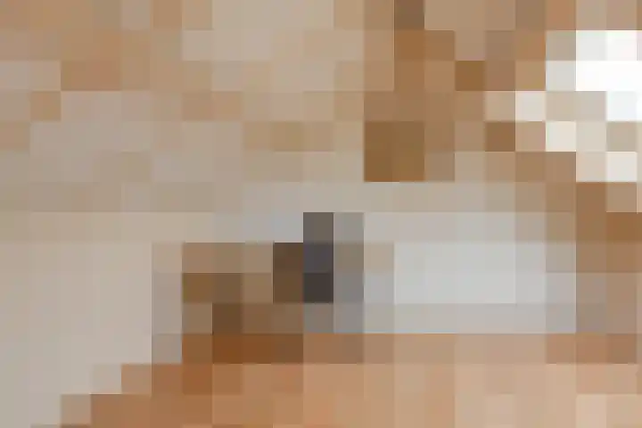 Vormerijstraat 21 Gaanderen thumbnail 38