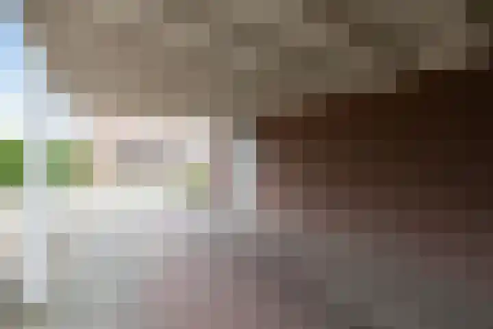 Vormerijstraat 21 Gaanderen thumbnail 41
