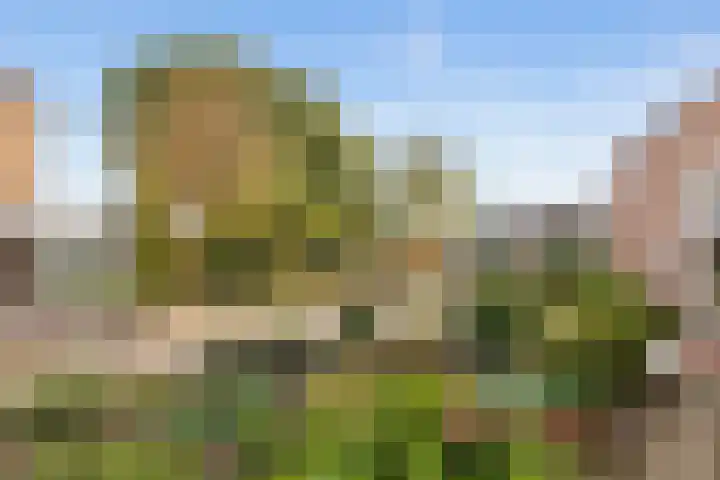 Vormerijstraat 21 Gaanderen thumbnail 46