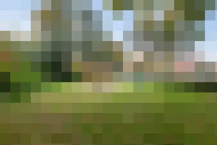 Vormerijstraat 21 Gaanderen thumbnail 47