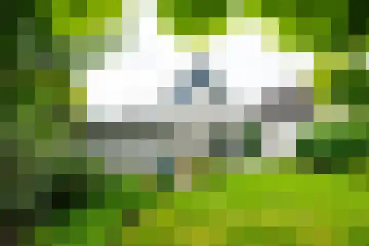 Vormerijstraat 3 Gaanderen thumbnail 35