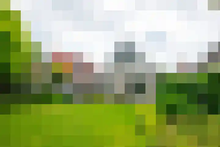 Vormerijstraat 3 Gaanderen thumbnail 37