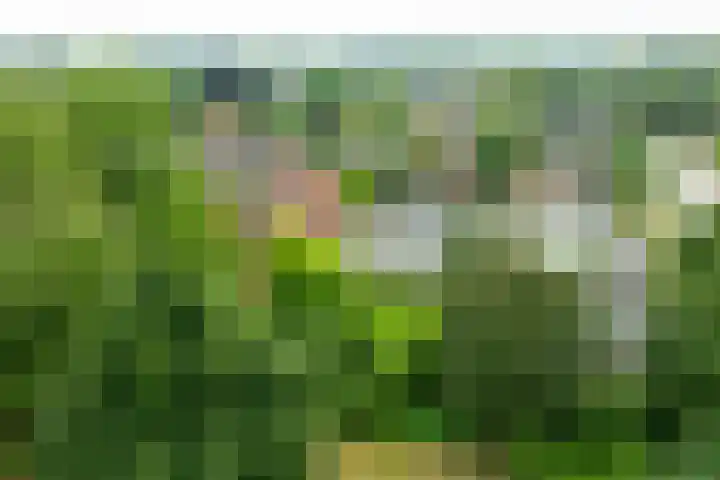 Vormerijstraat 3 Gaanderen thumbnail 38