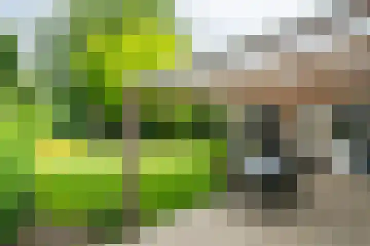 Vormerijstraat 3 Gaanderen thumbnail 41