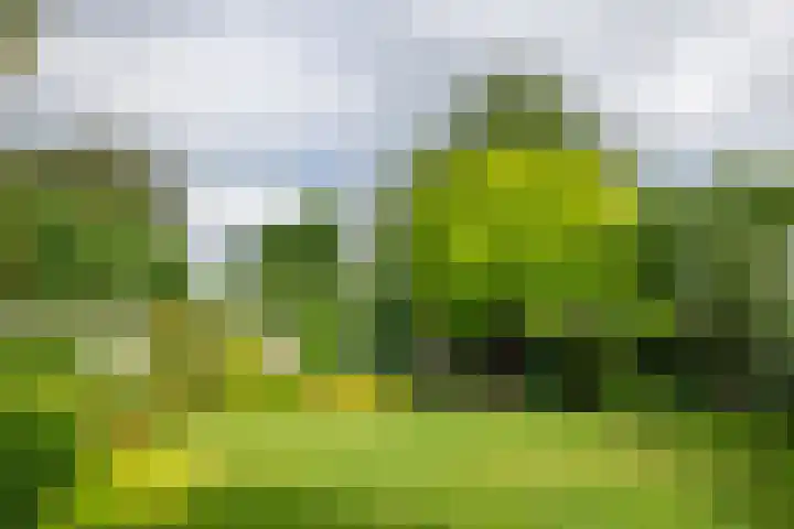 Vormerijstraat 3 Gaanderen thumbnail 42