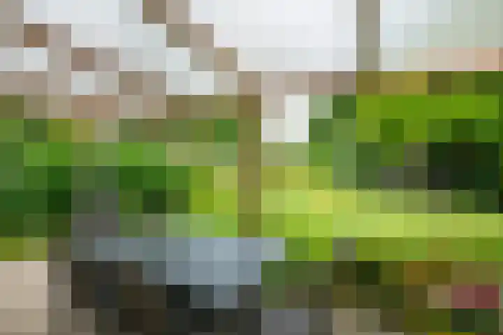 Vormerijstraat 3 Gaanderen thumbnail 43