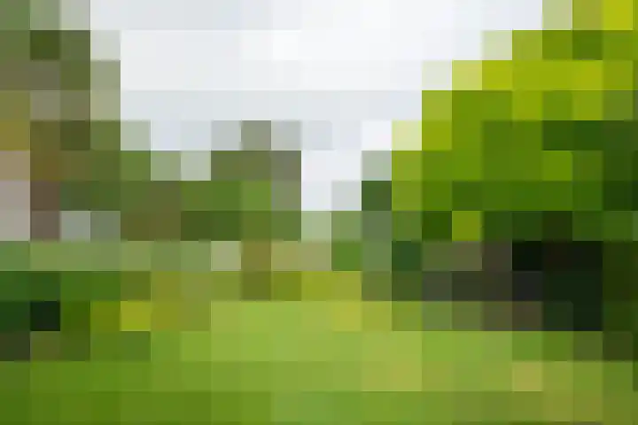 Vormerijstraat 3 Gaanderen thumbnail 44