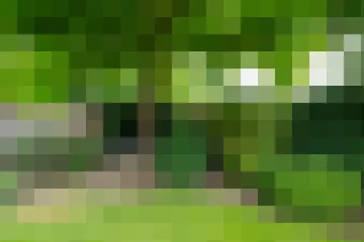 Vormerijstraat 3 Gaanderen thumbnail 45
