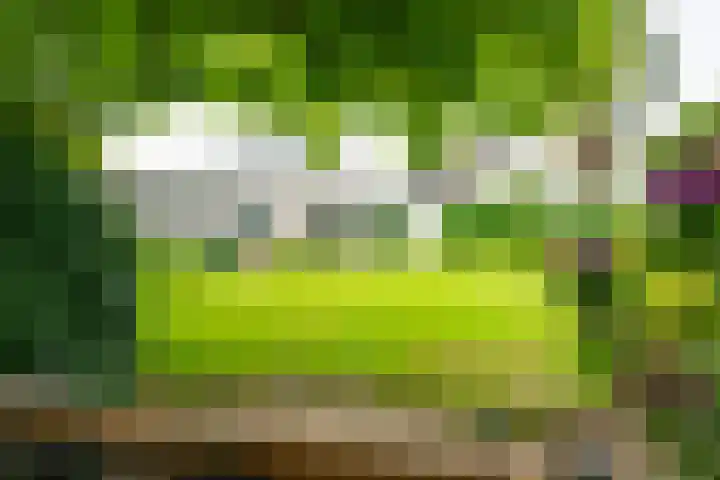 Vormerijstraat 3 Gaanderen thumbnail 46