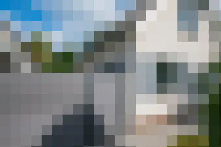 Vormerijstraat 3 Gaanderen thumbnail 49