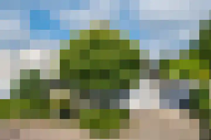 Vormerijstraat 3 Gaanderen thumbnail 50
