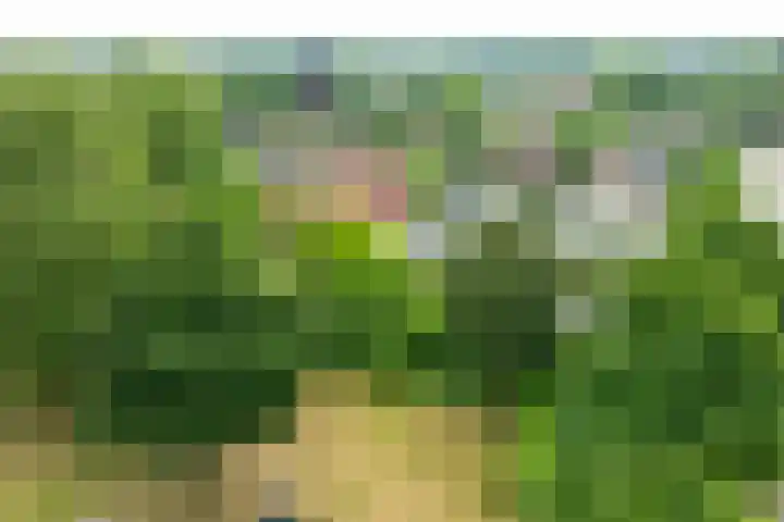 Vormerijstraat 3 Gaanderen thumbnail 51
