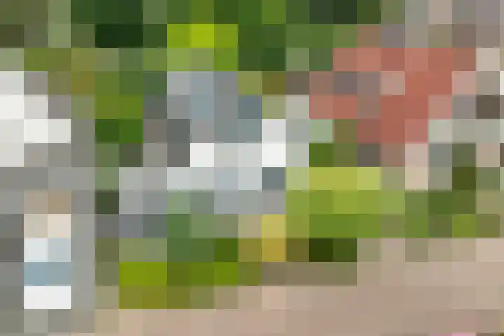 Vormerijstraat 3 Gaanderen thumbnail 53