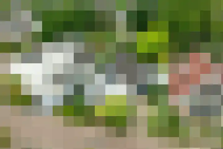 Vormerijstraat 3 Gaanderen thumbnail 57