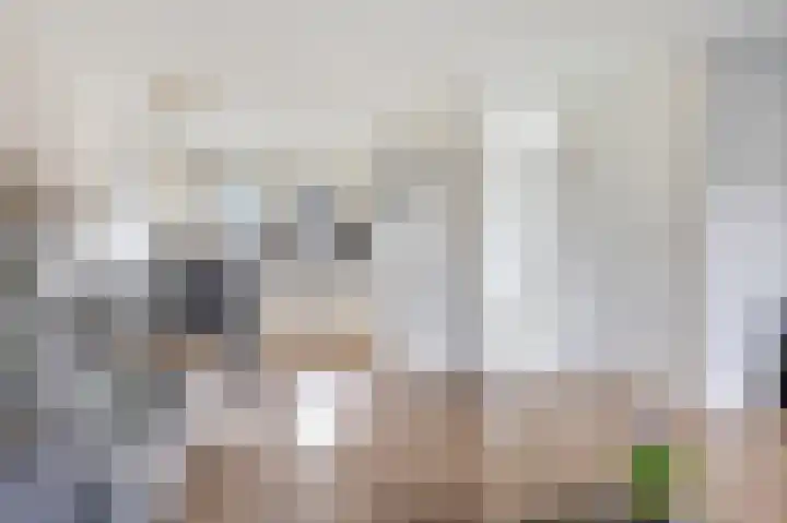 Vormerijstraat 40 A Gaanderen thumbnail 12