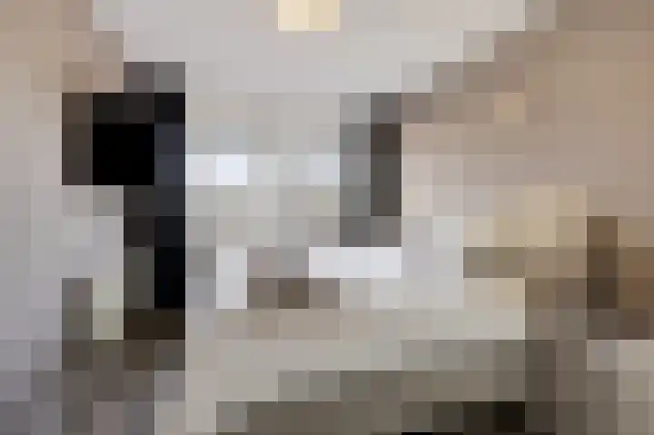 Vormerijstraat 40 A Gaanderen thumbnail 28