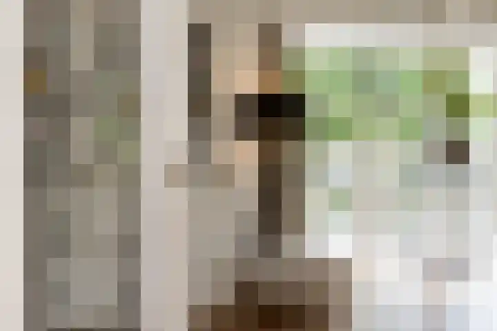 Vornstraat 2 Zuilichem thumbnail 16