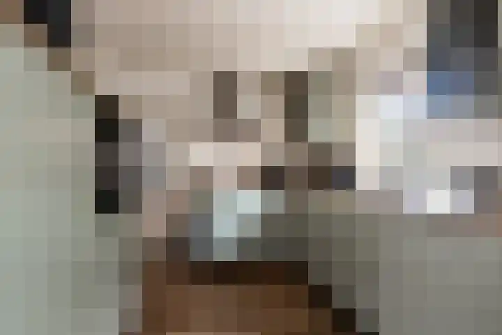 Vornstraat 2 Zuilichem thumbnail 23