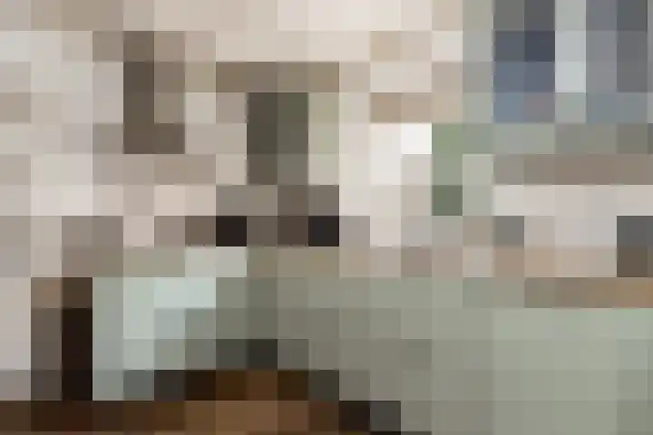 Vornstraat 2 Zuilichem thumbnail 24