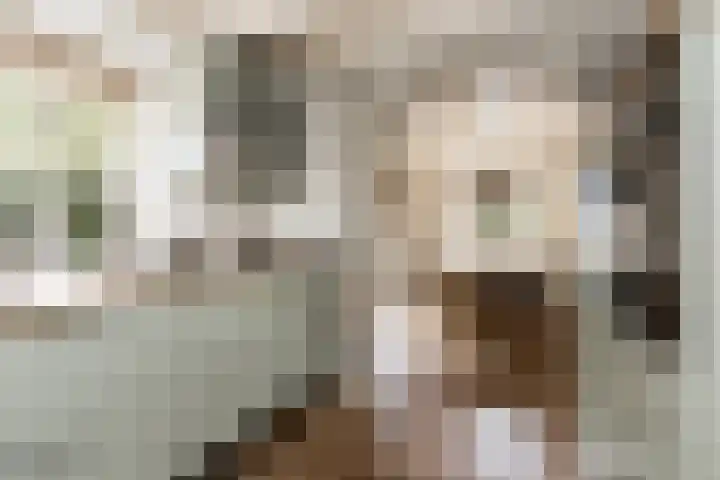 Vornstraat 2 Zuilichem thumbnail 26