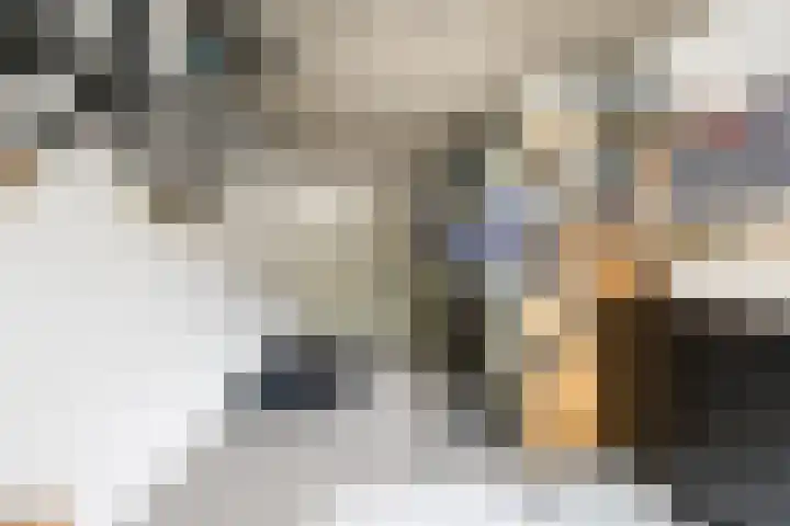 Vornstraat 2 Zuilichem thumbnail 31