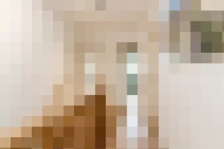 Vornstraat 2 Zuilichem thumbnail 33