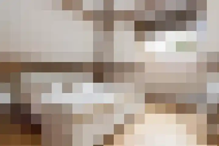 Vornstraat 2 Zuilichem thumbnail 45