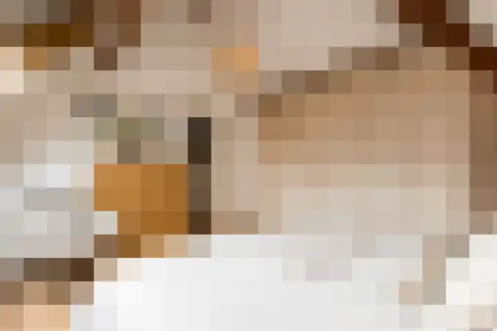 Vornstraat 2 Zuilichem thumbnail 46