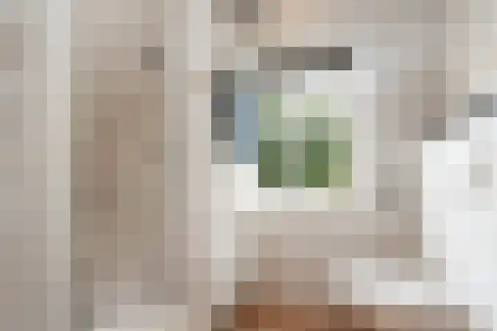 Vornstraat 2 Zuilichem thumbnail 49