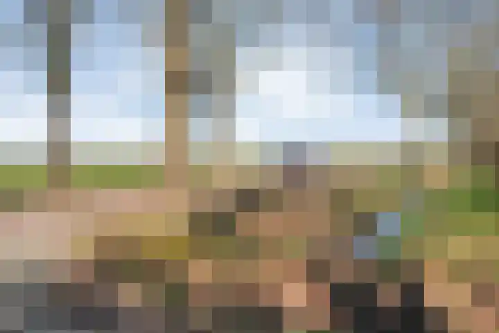 Vorrelveen 12 A Beilen thumbnail 10