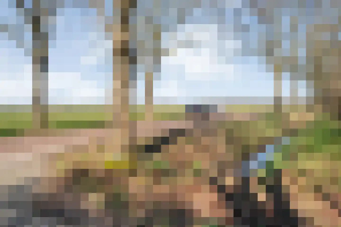 Vorrelveen 12 A Beilen thumbnail 10