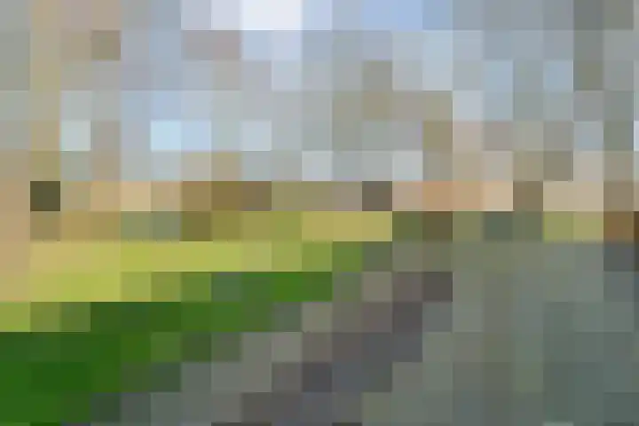 Vorrelveen 12 A Beilen thumbnail 14