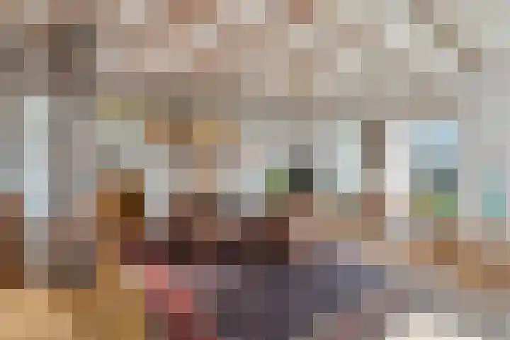 Vorrelveen 12 A Beilen thumbnail 25