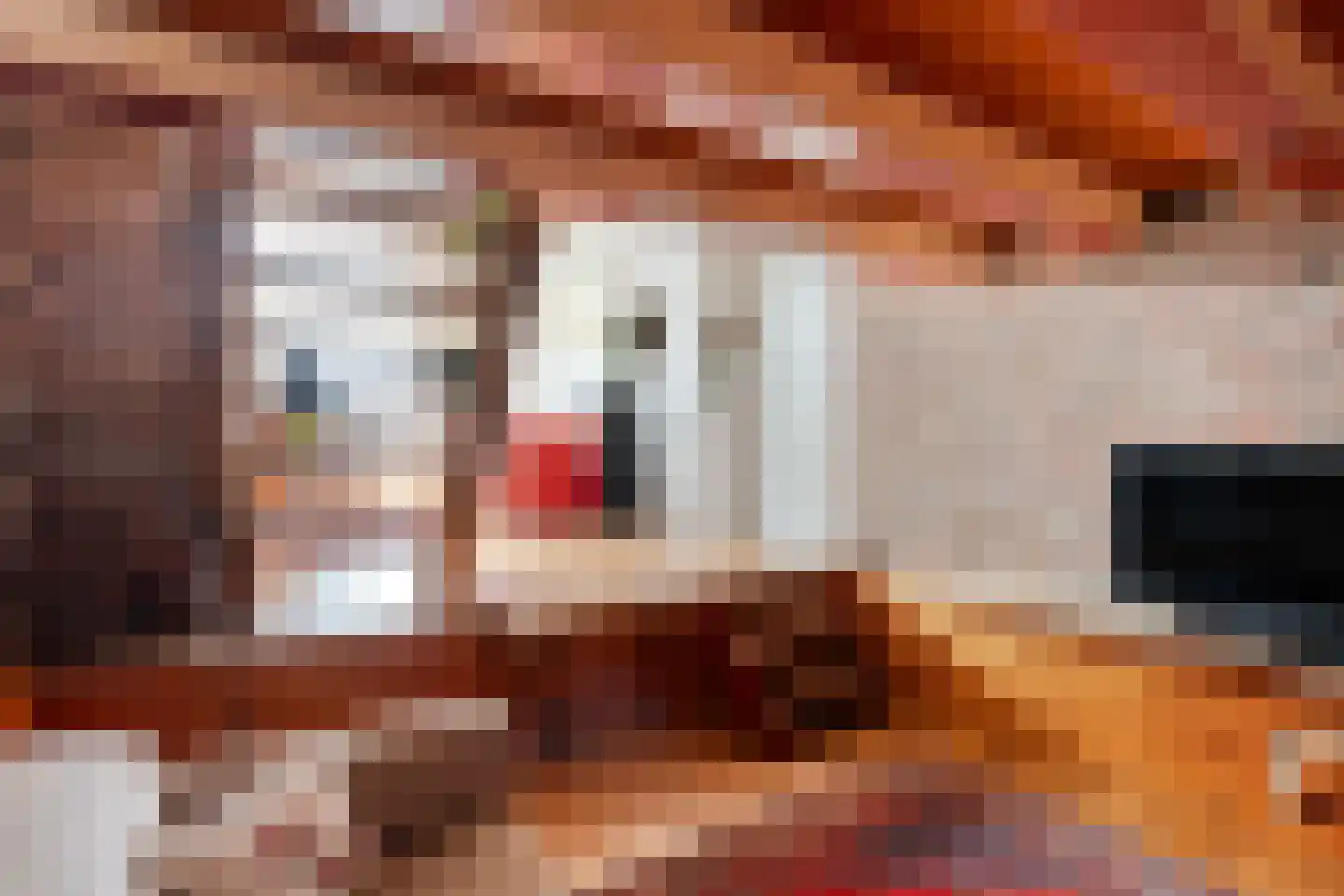 Vorrelveen 12 A Beilen thumbnail 31