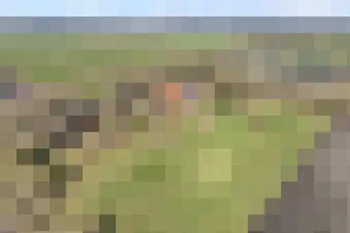 Vorrelveen 12 A Beilen thumbnail 4