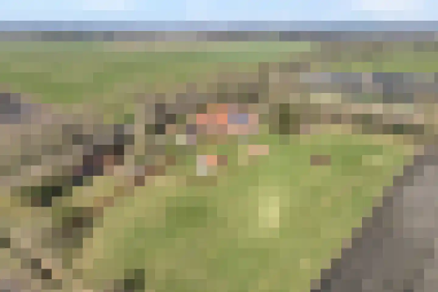 Vorrelveen 12 A Beilen thumbnail 4