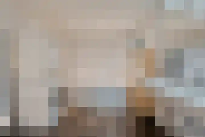 Vorrelveen 12 A Beilen thumbnail 44
