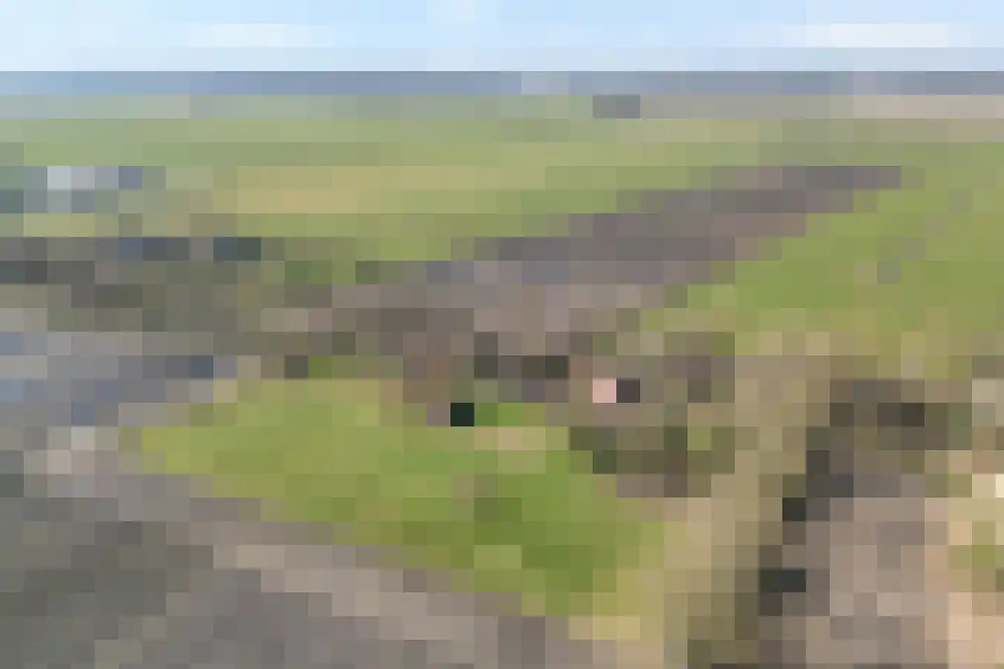 Vorrelveen 12 A Beilen thumbnail 6