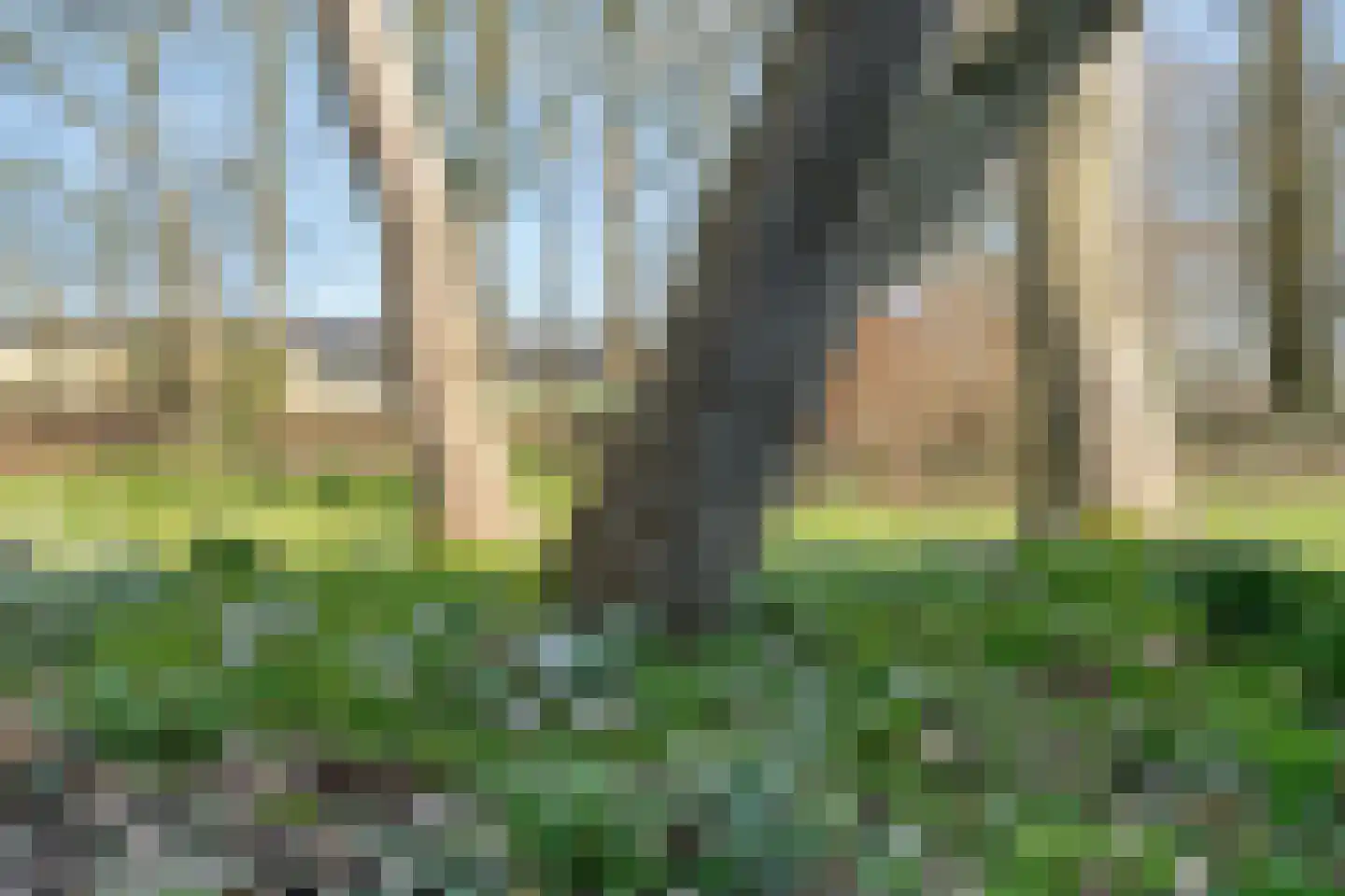 Vorrelveen 12 A Beilen thumbnail 61
