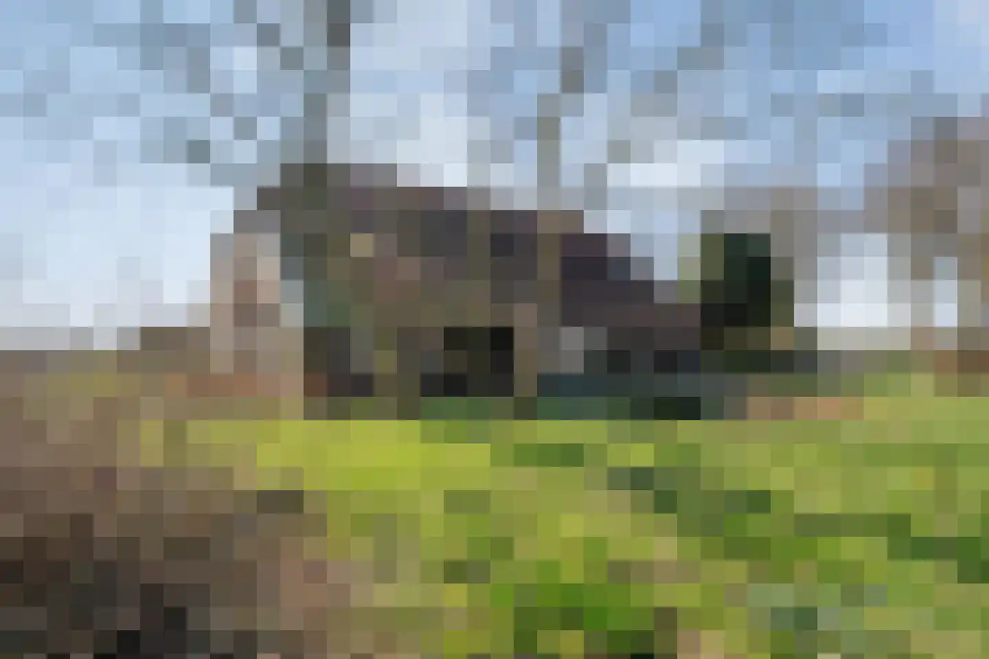 Vorrelveen 12 A Beilen thumbnail 63