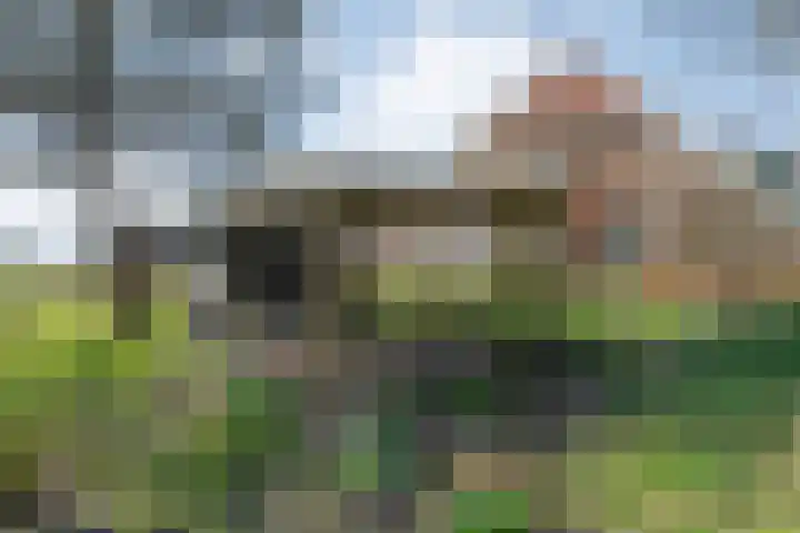 Vorrelveen 12 A Beilen thumbnail 65