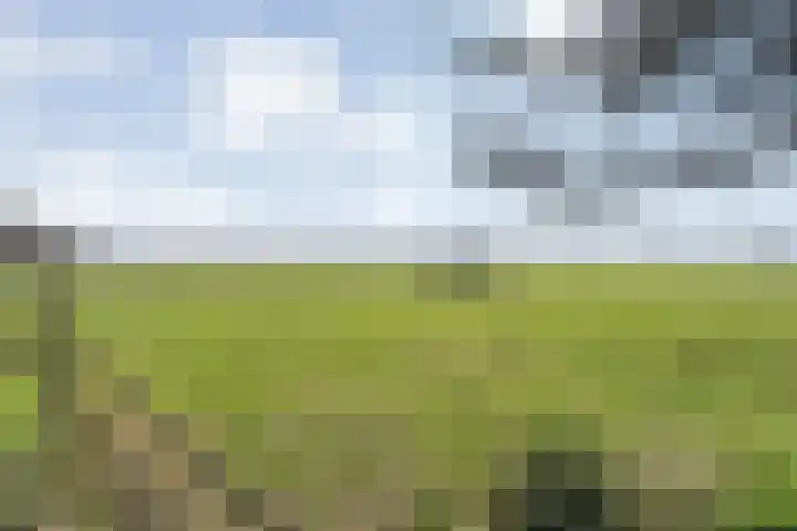 Vorrelveen 12 A Beilen thumbnail 66
