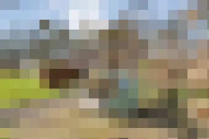 Vorrelveen 12 A Beilen thumbnail 67