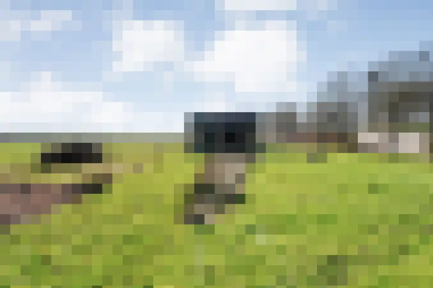 Vorrelveen 12 A Beilen thumbnail 69