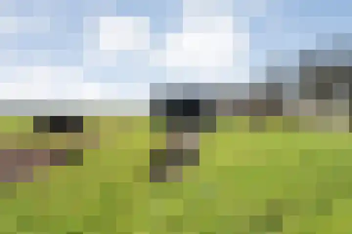 Vorrelveen 12 A Beilen thumbnail 69