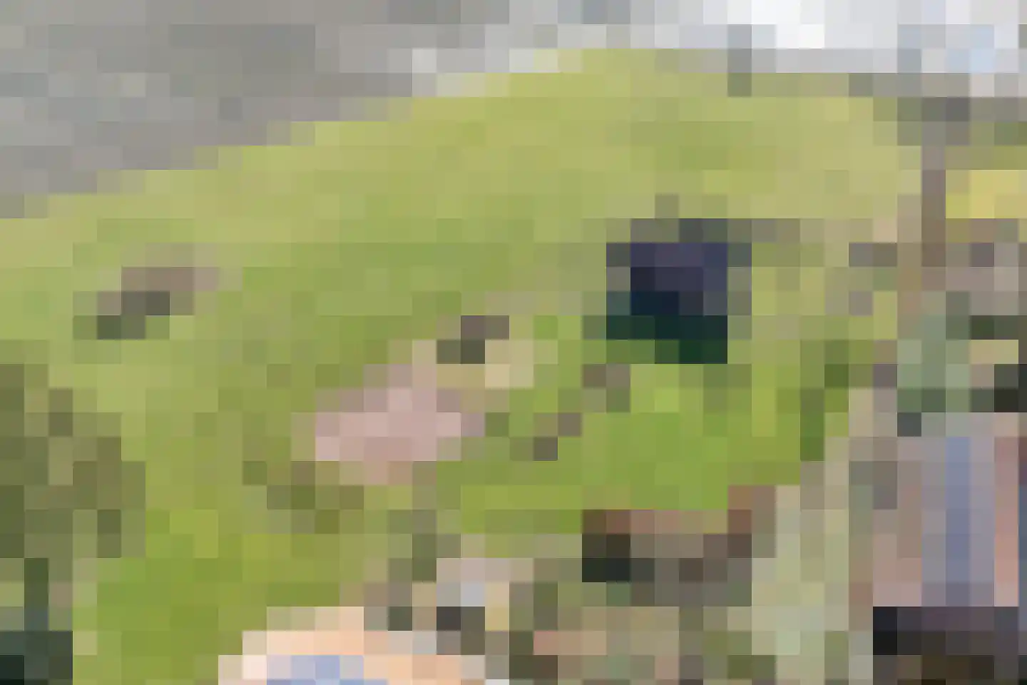 Vorrelveen 12 A Beilen thumbnail 8