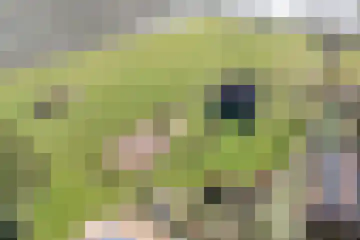 Vorrelveen 12 A Beilen thumbnail 8