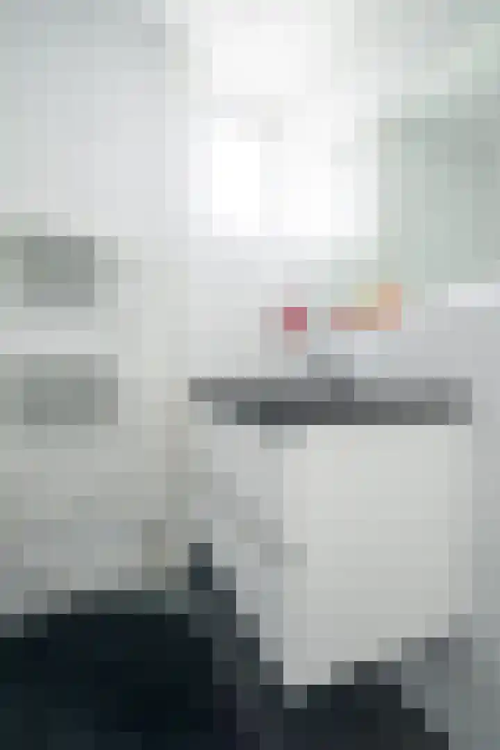 Vorselaar 17 Oosterhout thumbnail 13