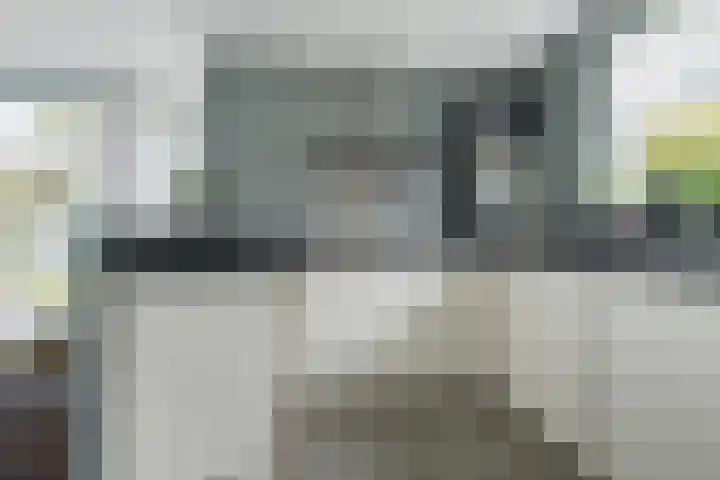 Vorselaar 17 Oosterhout thumbnail 15